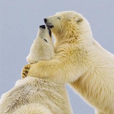 Схема вышивки «Любовь»