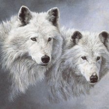 Схема вышивки «13353»