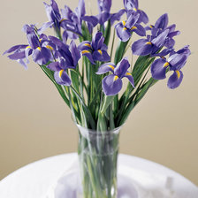 Схема вышивки «ирисы»