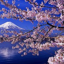 Схема вышивки «природа»