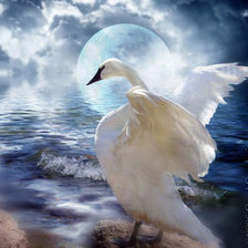 Схема вышивки «птицы»