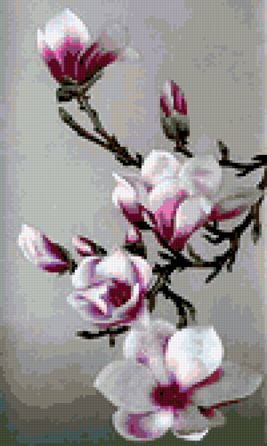 Ветка орхидеи - ветка, орхидея - предпросмотр