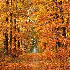 Схема вышивки «лес осенний»