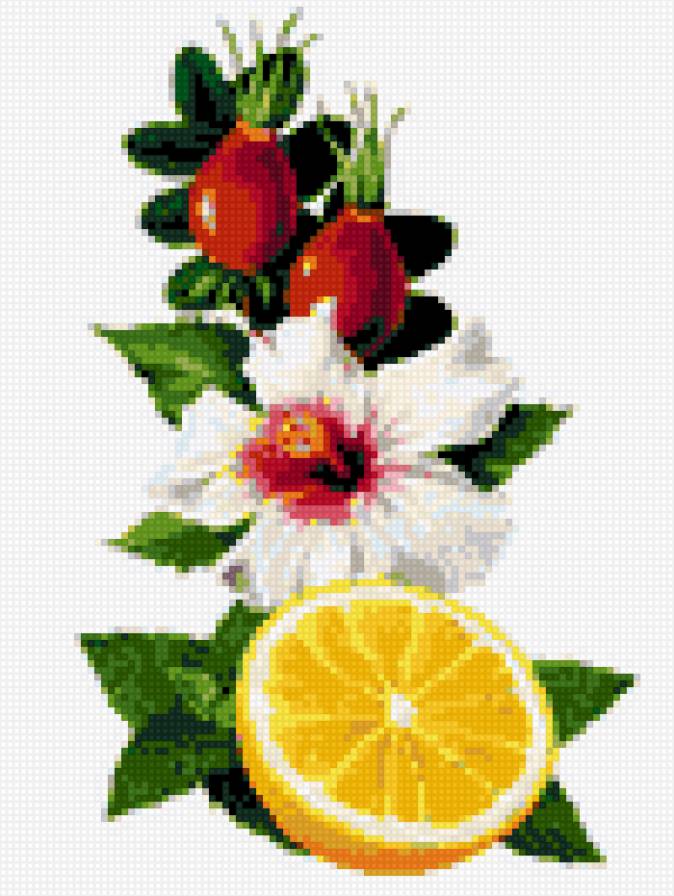 Шиповник - пано - предпросмотр