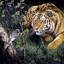 Схема вышивки «№175848»