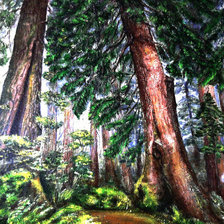 Схема вышивки «622»