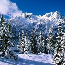 Схема вышивки «№175986»