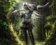 Схема вышивки «дроу»