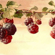 Схема вышивки «малина»