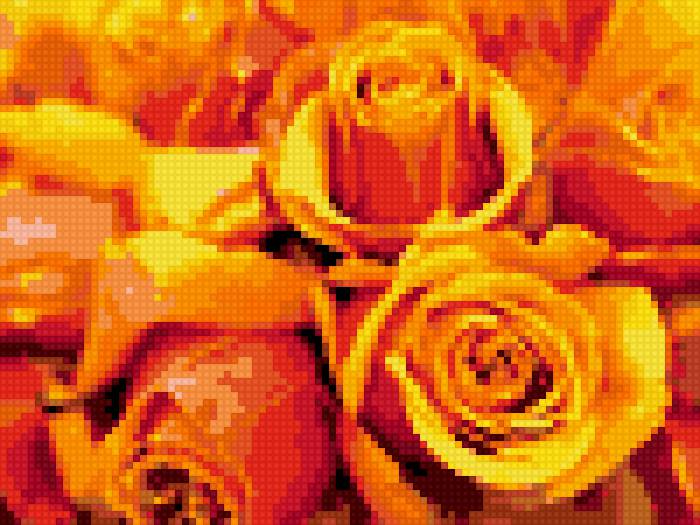 розы2 - предпросмотр