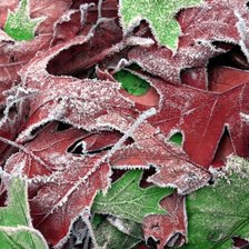 Зимняя сказка