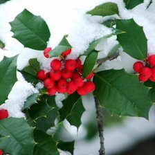 Схема вышивки «Зимняя сказка»