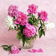 Схема вышивки «№176083»