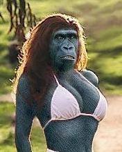 Схема вышивки «Ошибка природы»