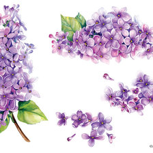 Схема вышивки «Мини-вышивки Сирень»