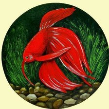 Схема вышивки «Золотая рыбка»