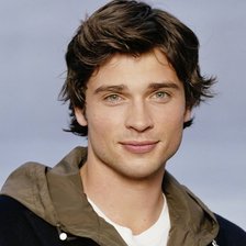 Схема вышивки «Том Вэллинг»