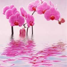 Схема вышивки «№176248»