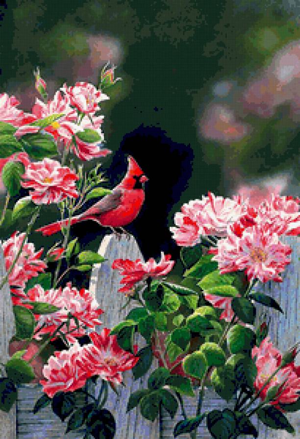 7648753 - цветы, птица, цветок, природа, птицы, лес, пейзаж - предпросмотр