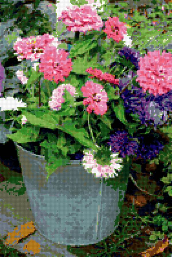 flowers - autumn, flowers - предпросмотр