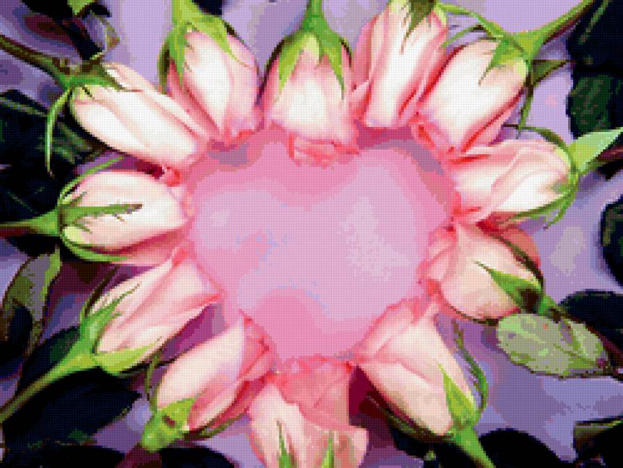 цветы - любовь...романтика, розы - предпросмотр