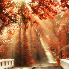 Схема вышивки «пейзаж»