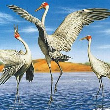 Схема вышивки «Журавлиный танец»