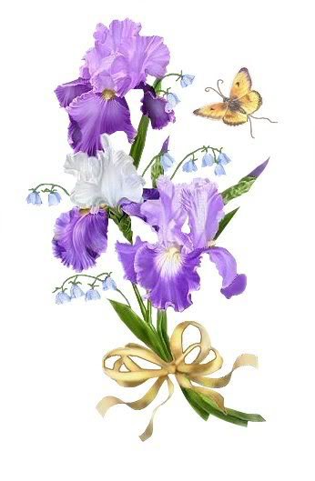 Ирисы и бабочка - цветы - оригинал
