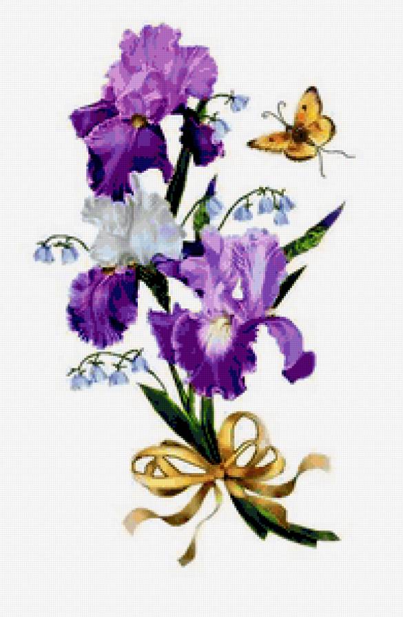 Ирисы и бабочка - цветы - предпросмотр