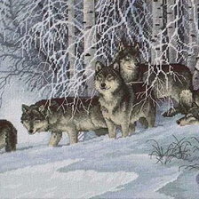 Схема вышивки «стая»