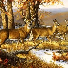 Схема вышивки «№176961»