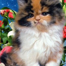 Схема вышивки «КИСЯ»