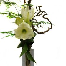 Схема вышивки «амарилис»