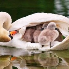 Схема вышивки «семья»