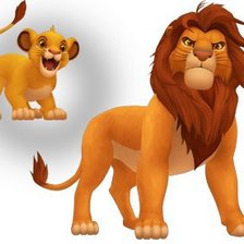 Схема вышивки «симба»