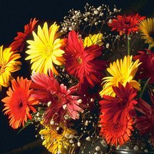 Схема вышивки «213»