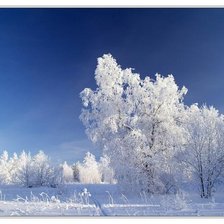 Схема вышивки «3214»