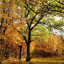 Схема вышивки «654»