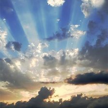 Схема вышивки «569»