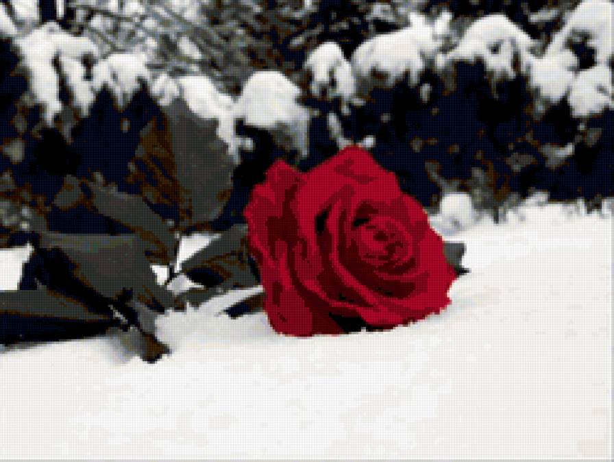 567 - предпросмотр