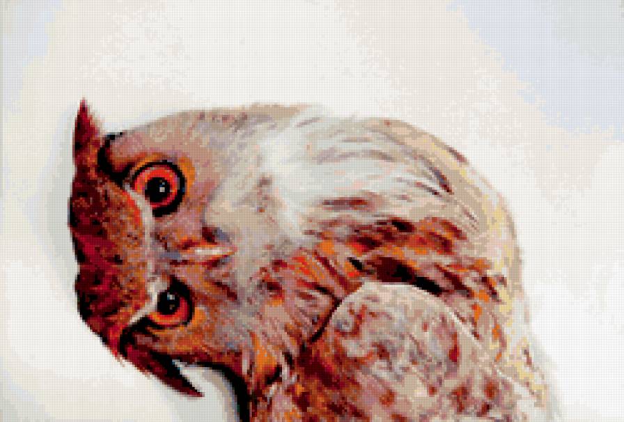 Сова - совы, кратинки, птицы - предпросмотр