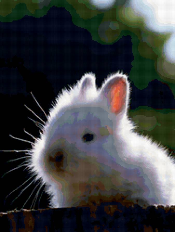 561 - предпросмотр