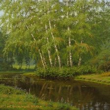 березы у реки