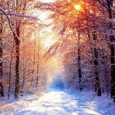 Схема вышивки «№177496»