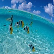 Схема вышивки «№177515»