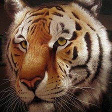 Схема вышивки «тигр»