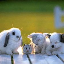 Схема вышивки «№177618»