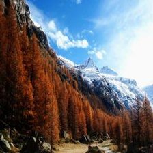 Схема вышивки «№177627»