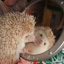 Схема вышивки «какая прелесть =)»