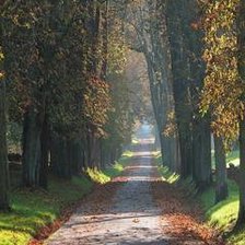 Схема вышивки «№177683»